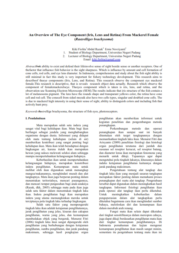 An Overview of The Eye Component (Iris, Lens and Retina) From Mackerel Female
(Rastrelliger brachysoma)